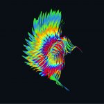 虹色の鳥