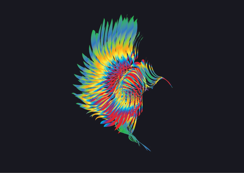 虹色の鳥